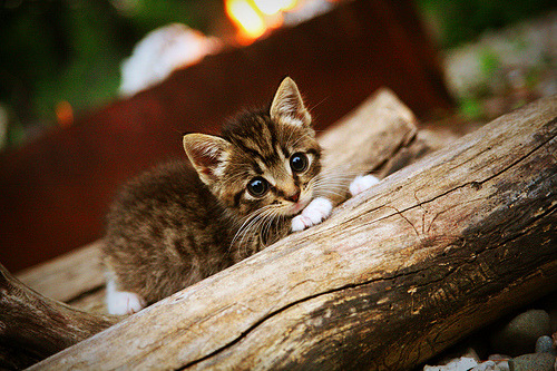 黑暗中的闪电,乌克兰绝杀塞维利亚,门迪的孤岛纪录