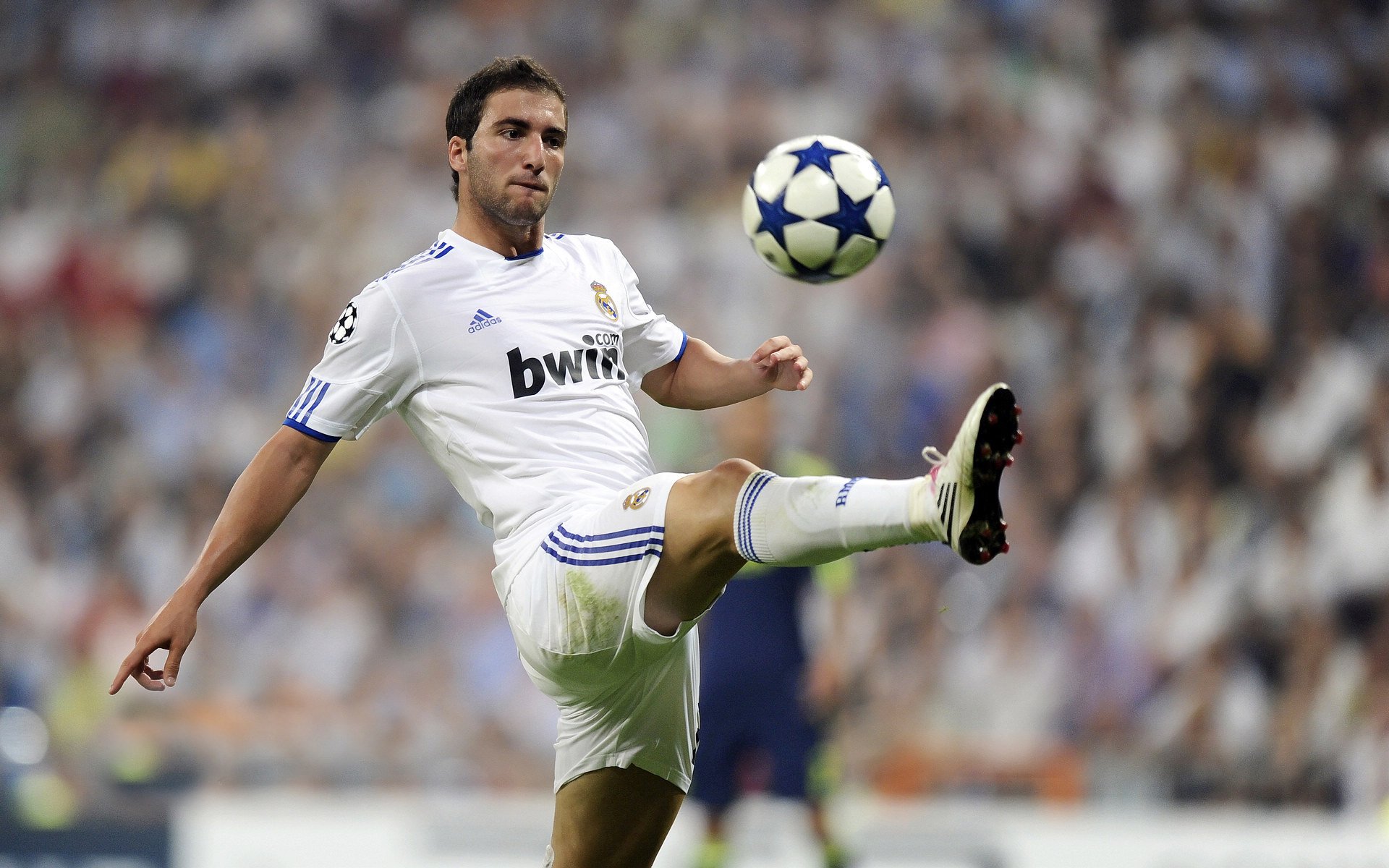 华沙之翼，从绝望到狂欢，林高远如何复刻波兰骑兵的逆袭奇迹