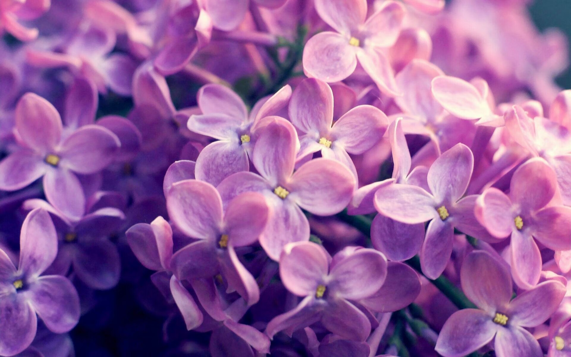 维斯塔拉河畔的巨人觉醒，当波兰铁骑碾过伯纳乌，哈兰德点亮北境极光