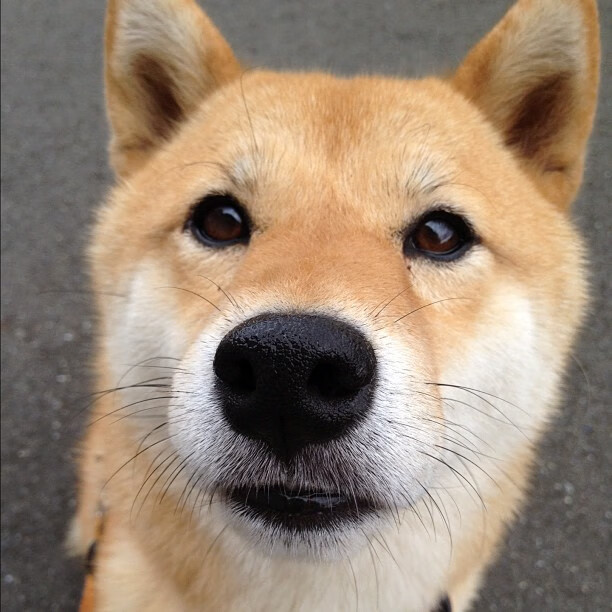 当莫扎特遇上马拉多纳,莱奥一射击穿两个世界的百年回声