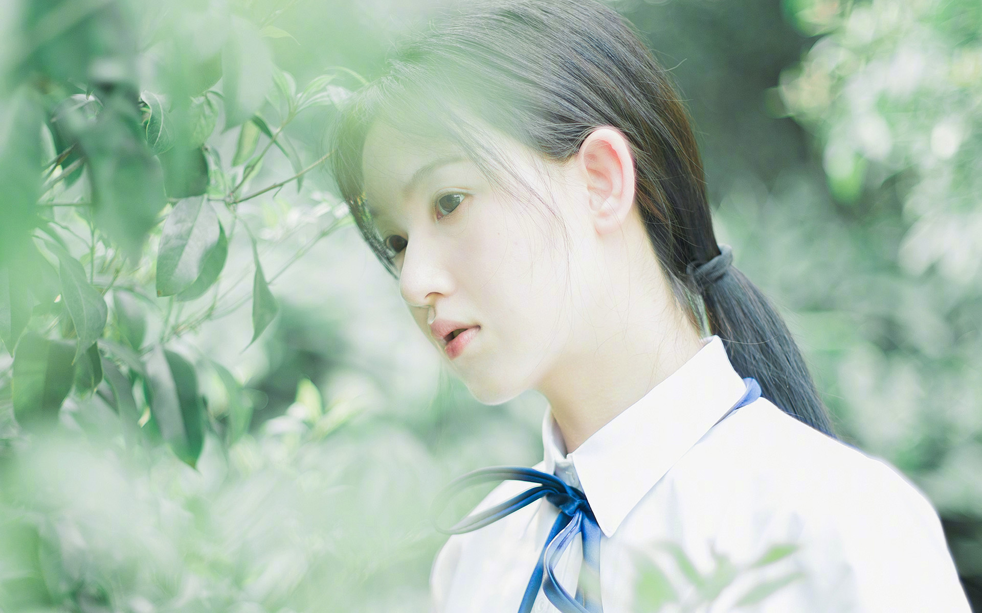 静默的统帅,范戴克于奥运周期关键之夜,以完美防守筑起冠军基石