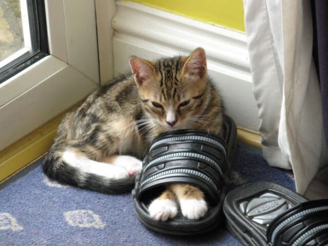 冰火开季日，引擎轰鸣与地板震颤的双重奏