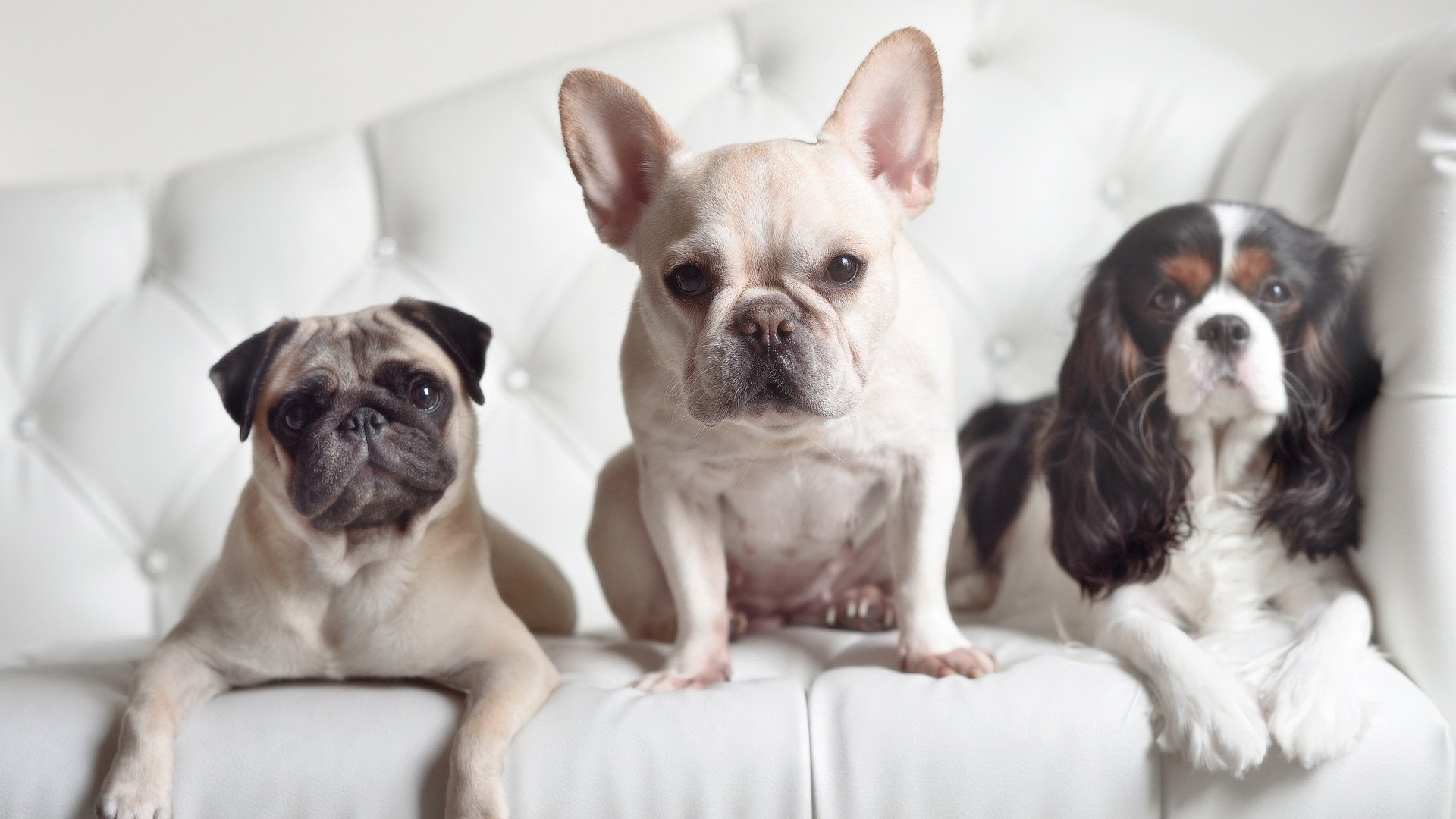 鏖战见真章！深圳加时险胜广厦，乔治一剑封喉定江山