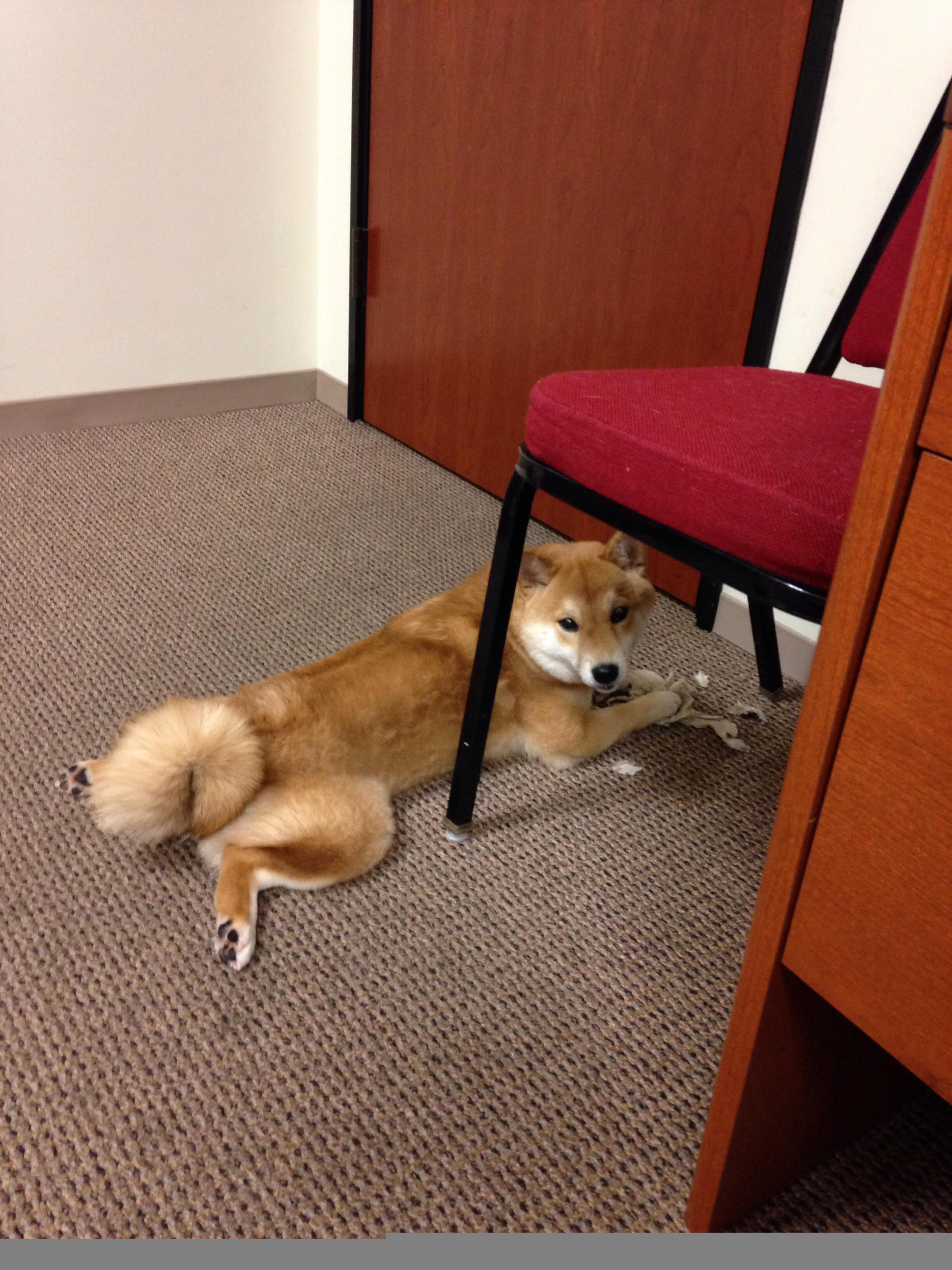 极境，77号代码的解锁之夜