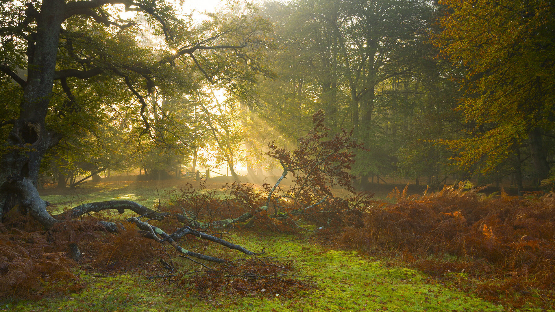 从富安健洋的稳定输出到洪都拉斯的逆袭，一场决胜局的传奇
