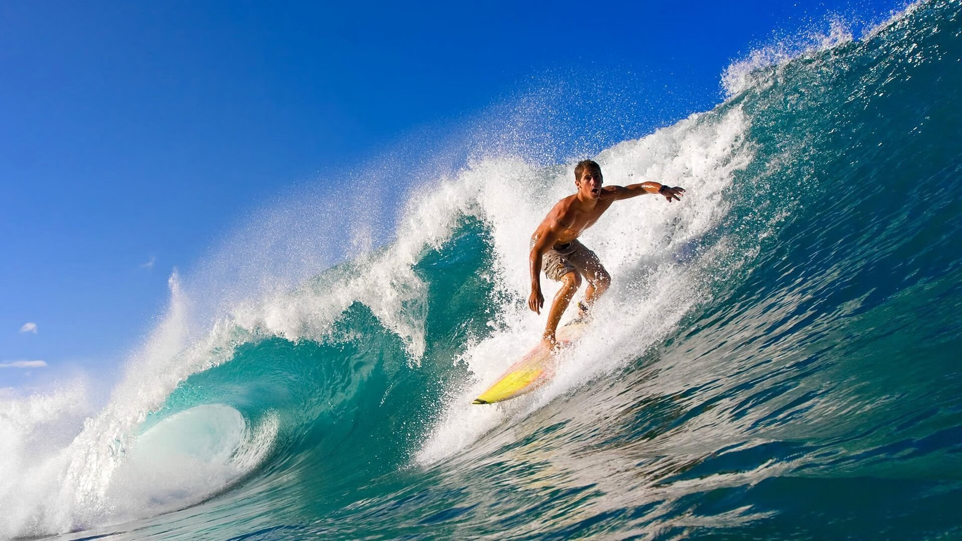 美加墨世界杯之夜,爱德华兹攻防转换核心的崛起