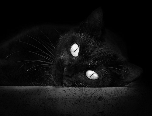 绿茵硝烟，当世界杯的哨声在战场边缘响起