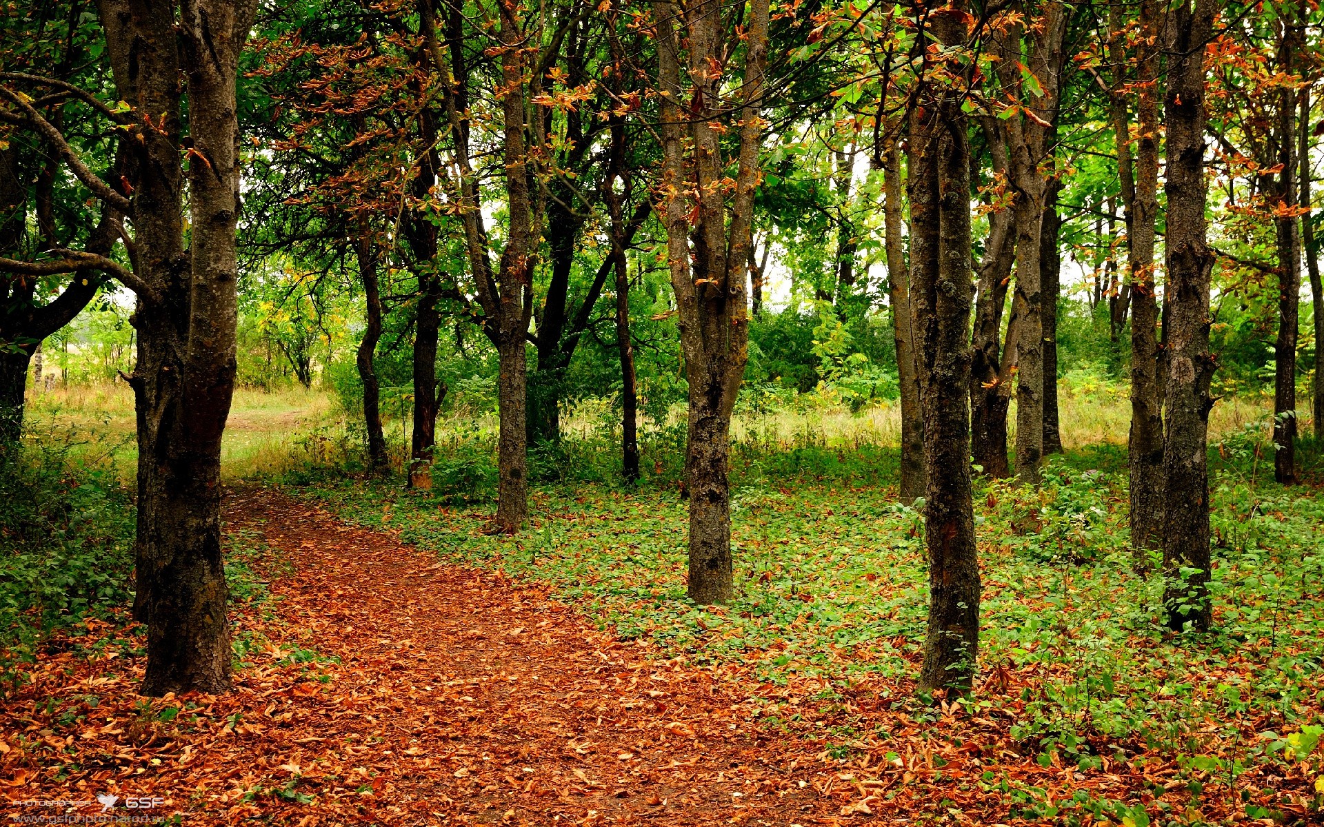 篮球欧冠半决赛焦点战，雄鹿队凭借封锁防守力克浙江队
