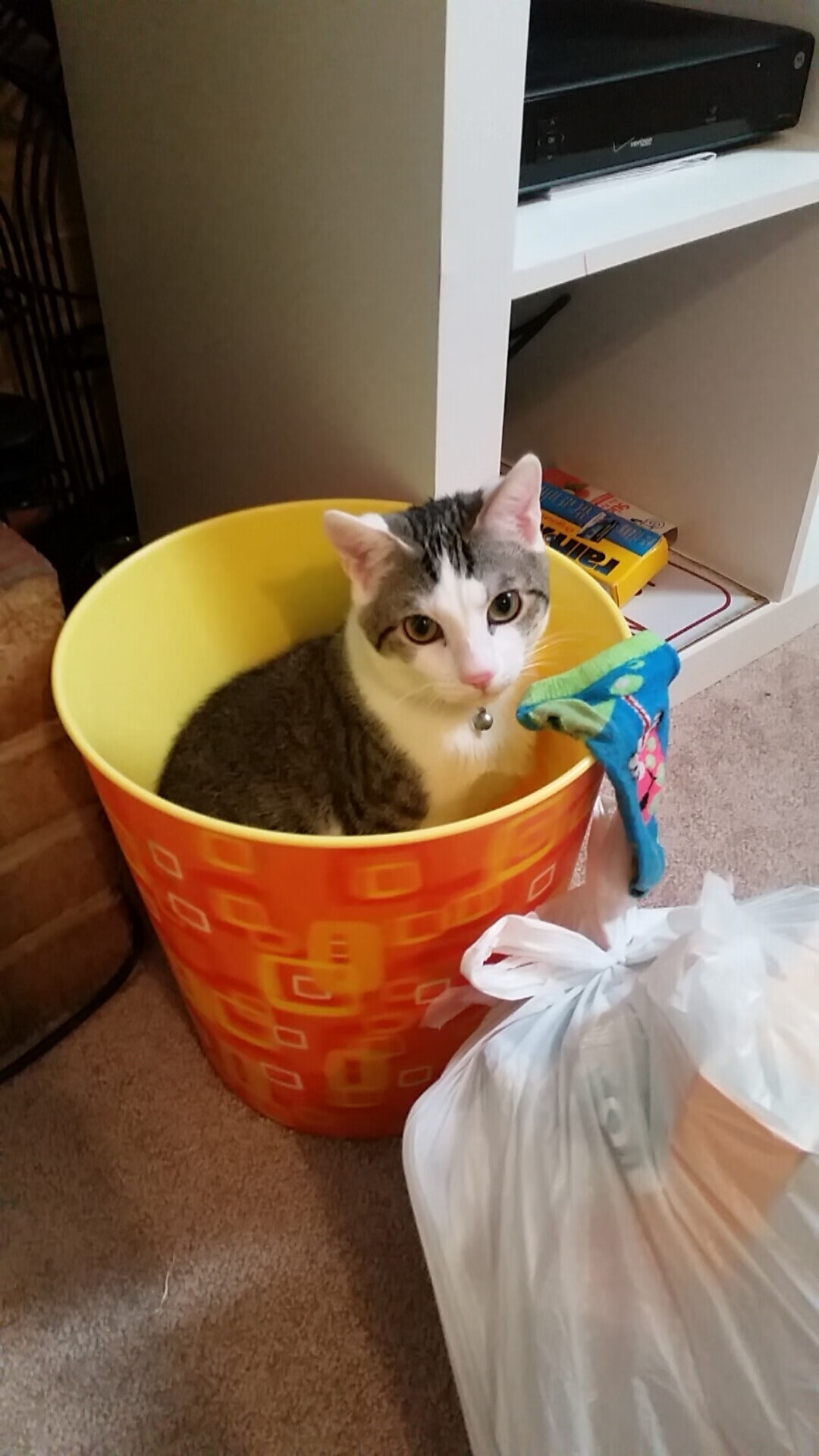 爱游戏APP-切特·霍姆格伦，当独角兽闯进糖果山