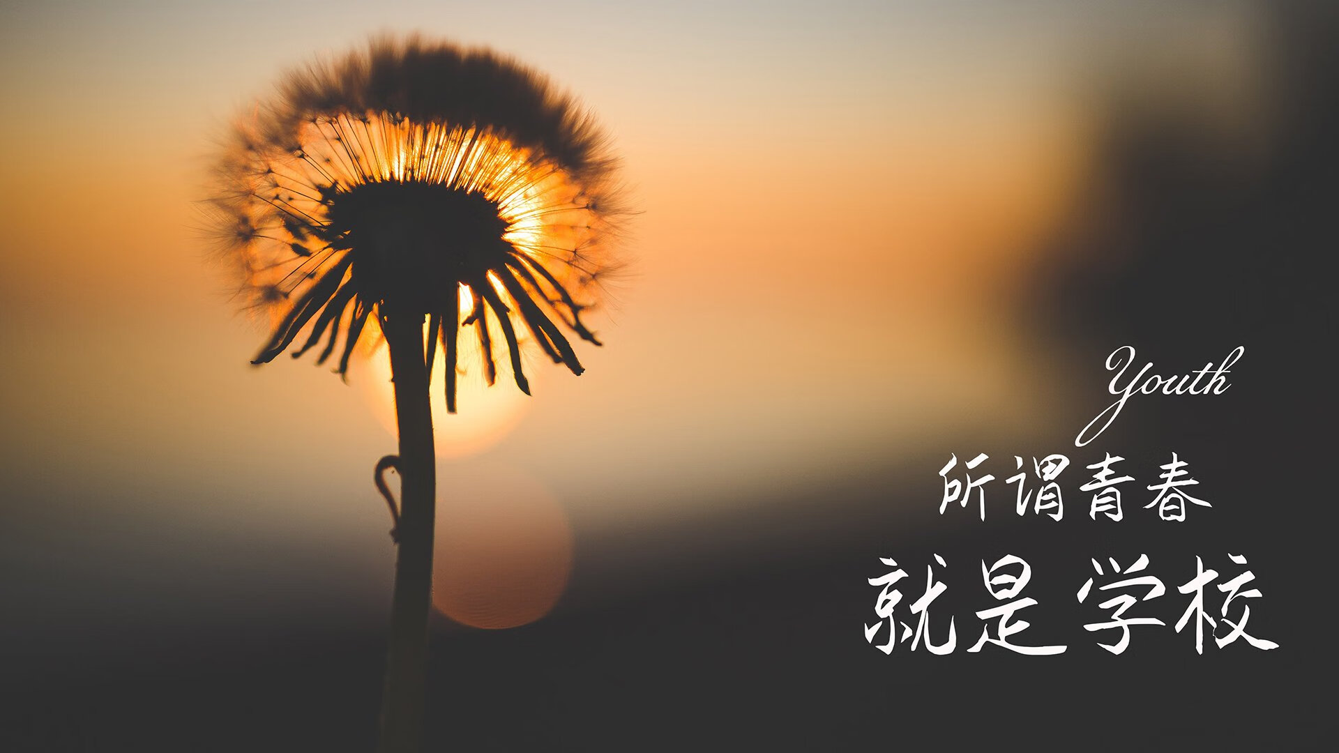 爱游戏大厅-北境之光，拉什福德独舞破双盾，加拿大掀翻丹麦书写世界杯新章