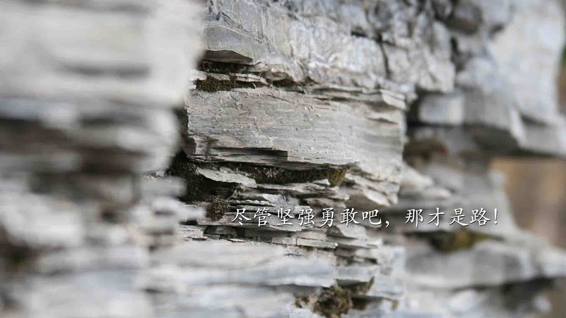 绝杀之夜，2026世界杯B组，喀麦隆力克波兰，罗德里戈完成致命一击