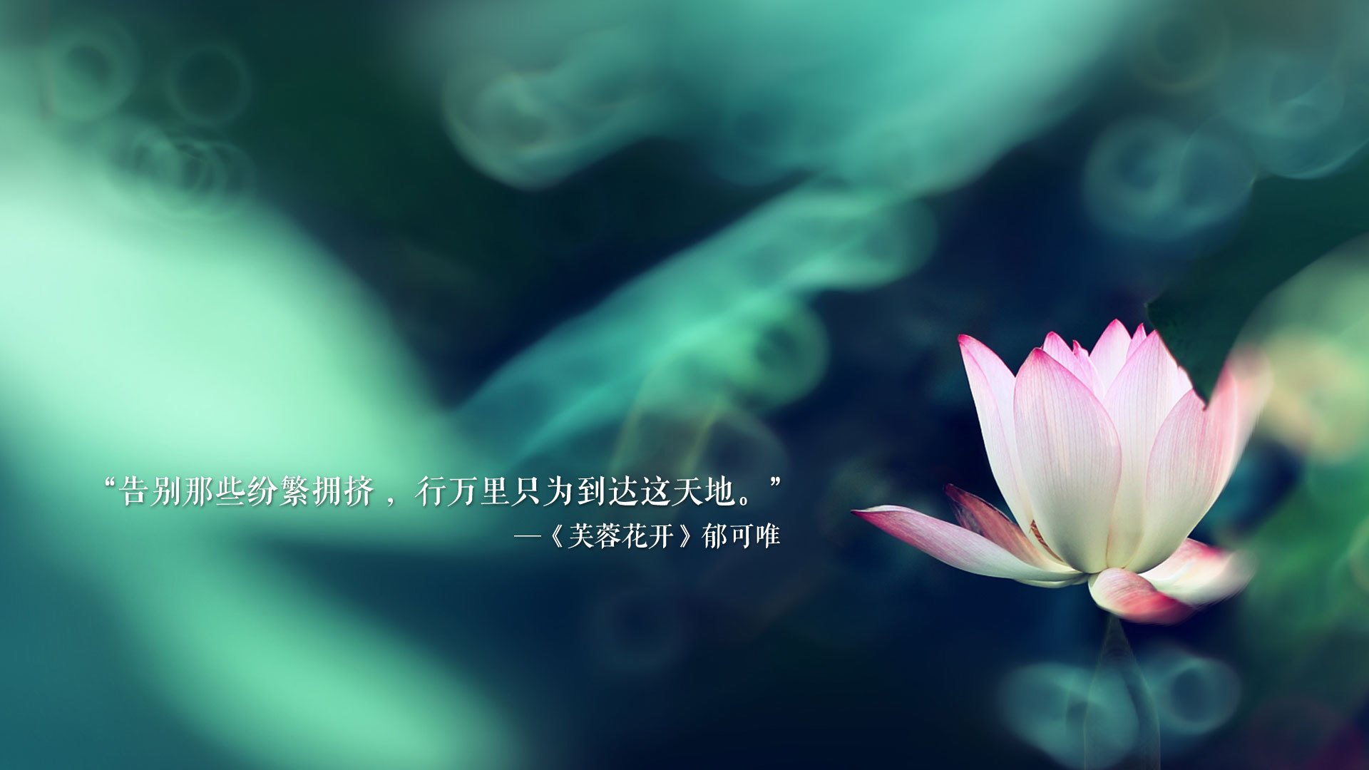 孤岛之怒，2026世界杯F组冰岛史诗级大胜比利时，C罗致命一击书写战术传奇