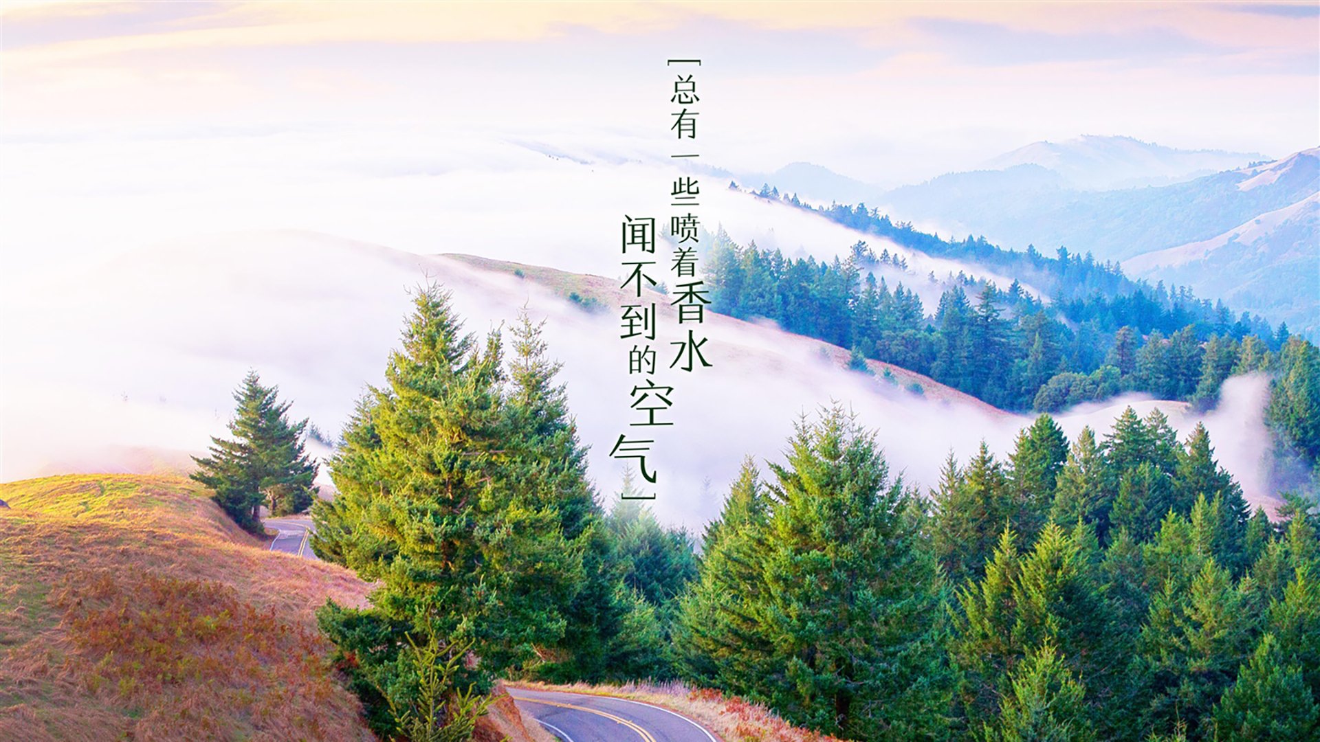 绝杀之夜，拉什福德主宰2026世界杯焦点战，西班牙力克卡塔尔书写唯一传奇