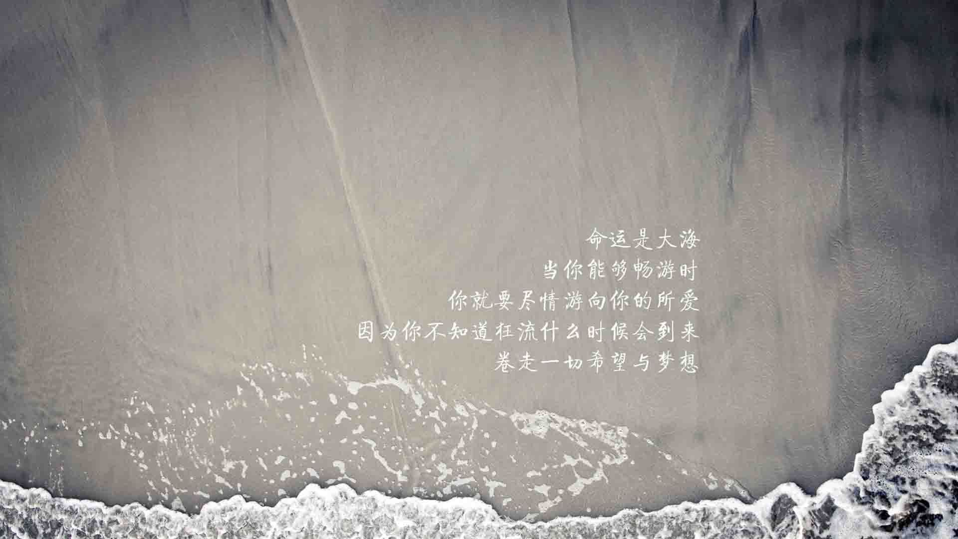 橙衣军团的暗礁，当独狼苏亚雷斯在D组生死战中撕碎荷兰的童话